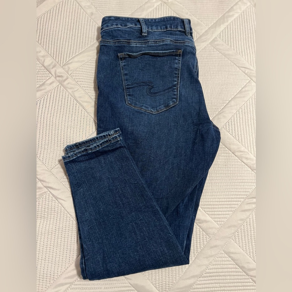 Silver skinny’s plus size